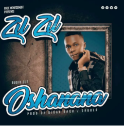 Zil Zil